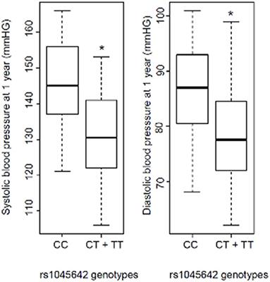 Recipient rs1045642 Polymorphism Is Associated With Office Blood Pressure at 1-Year Post Kidney Transplantation: A Single Center Pharmacogenetic Cohort Pilot Study